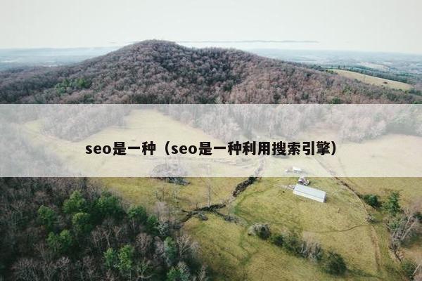 seo是一种（seo是一种利用搜索引擎）