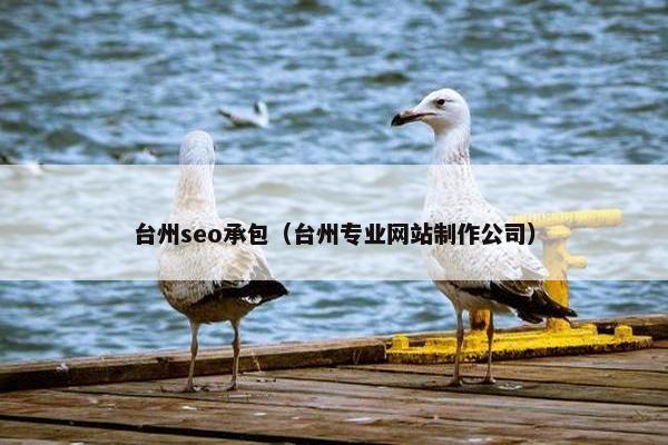 台州seo承包（台州专业网站制作公司）