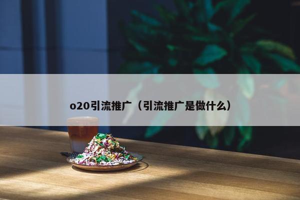 o20引流推广（引流推广是做什么）