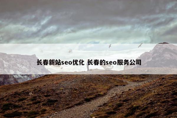 长春新站seo优化 长春的seo服务公司