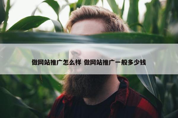 做网站推广怎么样 做网站推广一般多少钱