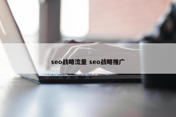 seo战略流量 seo战略推广