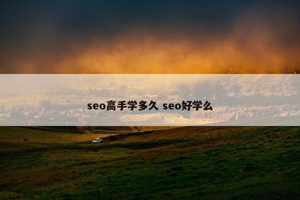 seo高手学多久 seo好学么