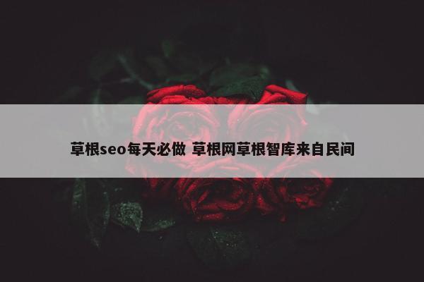 草根seo每天必做 草根网草根智库来自民间