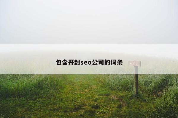 包含开封seo公司的词条