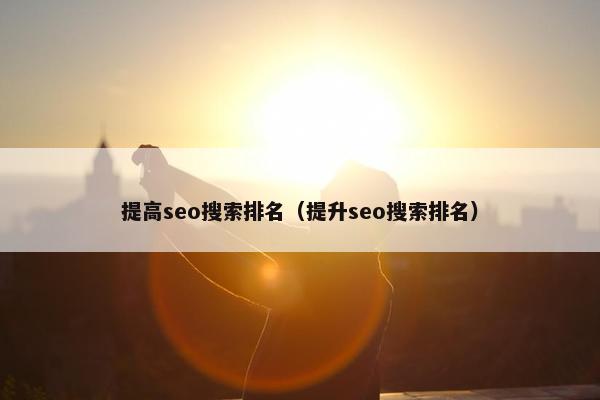 提高seo搜索排名（提升seo搜索排名）