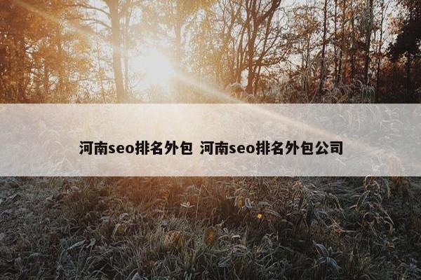 河南seo排名外包 河南seo排名外包公司