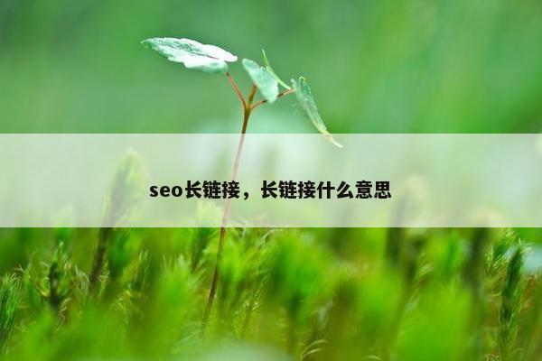 seo长链接，长链接什么意思