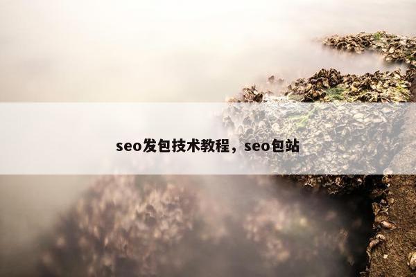 seo发包技术教程，seo包站