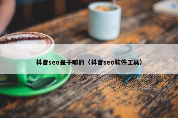 抖音seo是干嘛的（抖音seo软件工具）