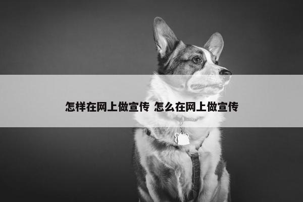 怎样在网上做宣传 怎么在网上做宣传