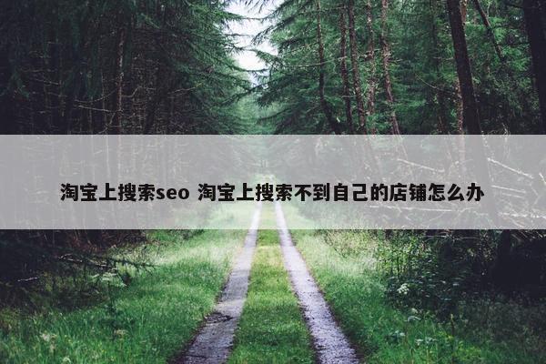 淘宝上搜索seo 淘宝上搜索不到自己的店铺怎么办