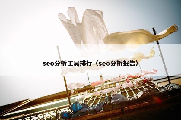 seo分析工具排行（seo分析报告）