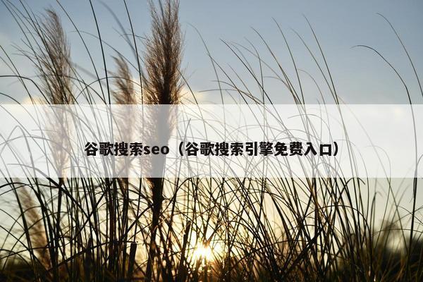 谷歌搜索seo（谷歌搜索引擎面菲入口）