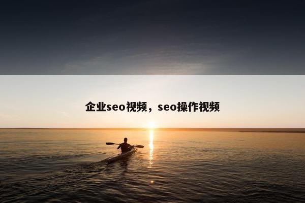 企业seo视屏，seo操作视屏