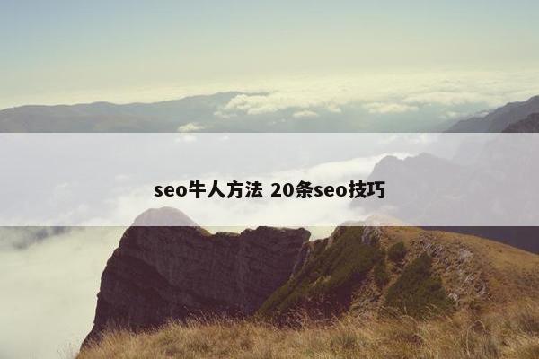 seo牛人方法 20条seo技巧