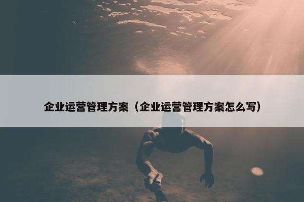 企业运营管理方案（企业运营管理方案怎么写）