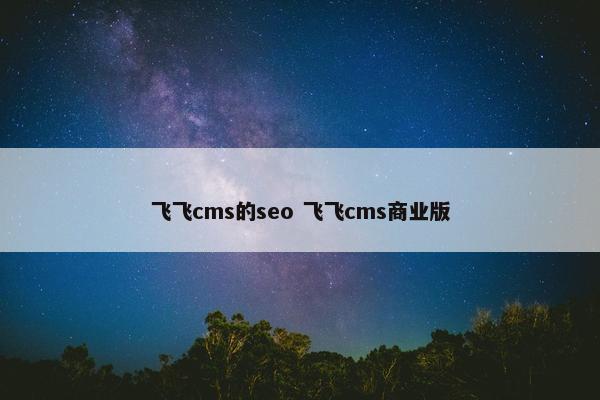 飞飞cms的seo 飞飞cms商业版