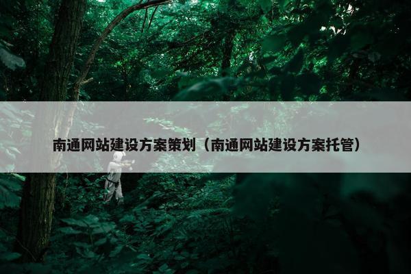 南通网站建设方案策划（南通网站建设方案托管）