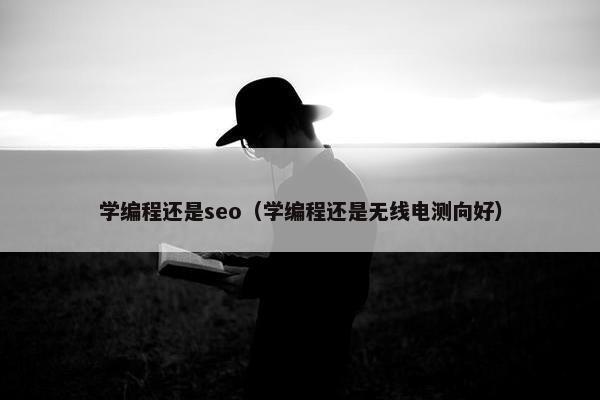 学编程还是seo（学编程还是无线电测向好）