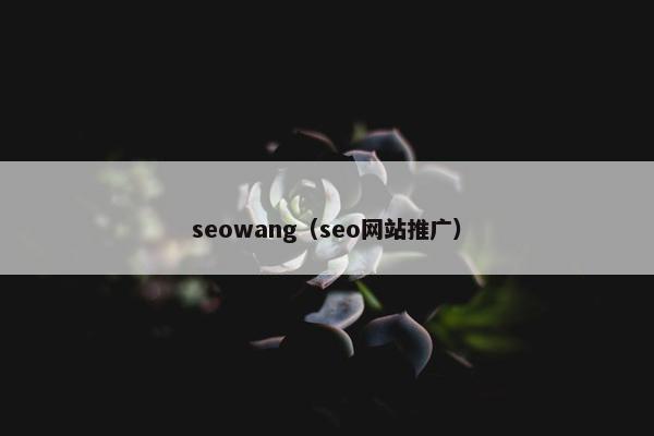 seowang（seo网站推广）