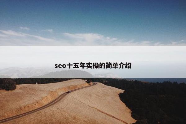 seo十五年实操的简单介绍