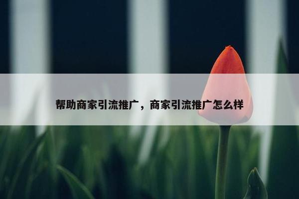 帮助商家引流推广，商家引流推广怎么样