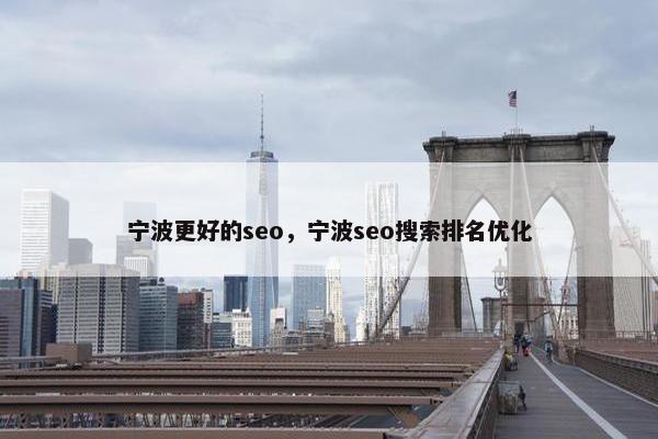 宁波更好的seo，宁波seo搜索排名优化