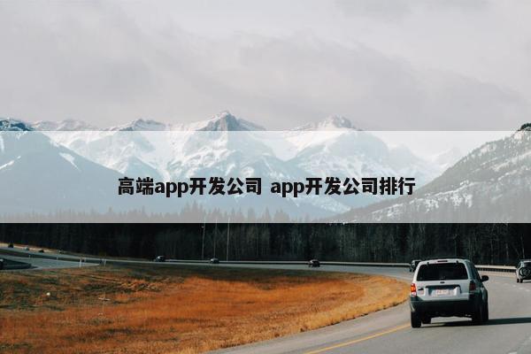 高端app开发公司 app开发公司排行