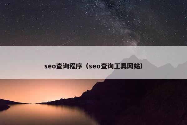 seo查询程序（seo查询工具网站）