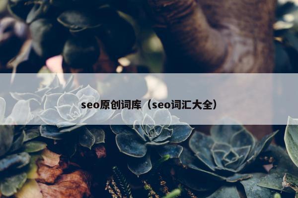 seo原创词库（seo词汇大全）