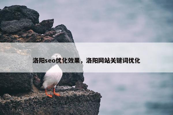 洛阳seo优化效果，洛阳网站关键词优化