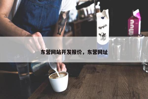 东营网站开发报价，东营网址