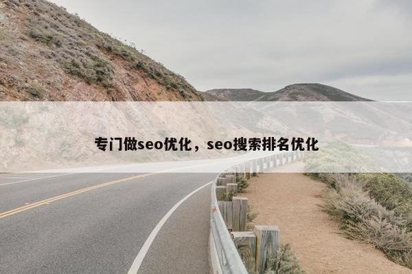 专门做seo优化，seo搜索排名优化