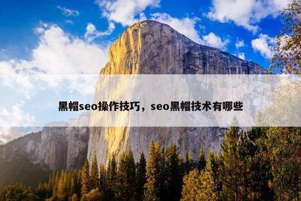 黑帽seo操作技巧，seo黑帽技术有哪些