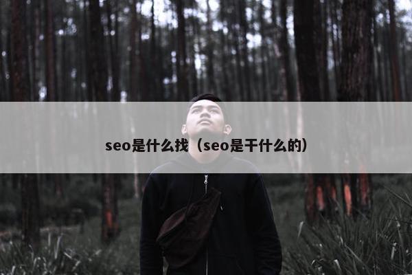 seo是什么找（seo是干什么的）