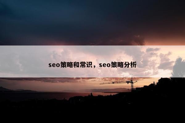 seo策略和常识，seo策略分析