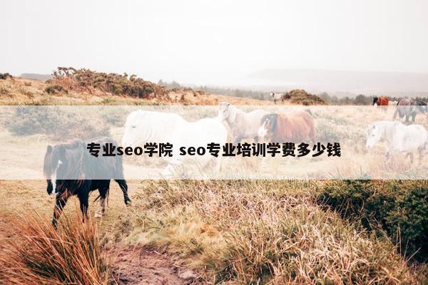 专业seo学院 seo专业培训学费多少钱