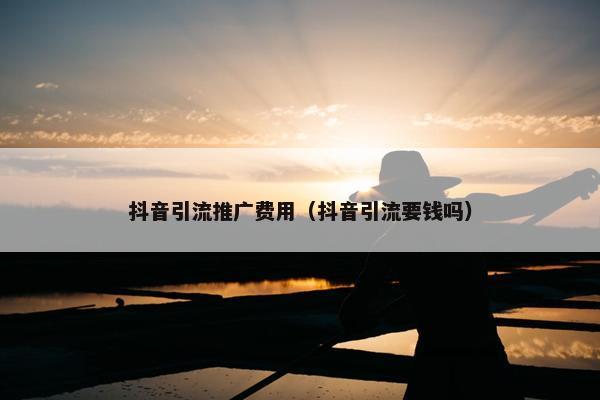 抖音引流推广费用（抖音引流要钱吗）