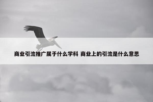 商业引流推广属于什么学科 商业上的引流是什么意思