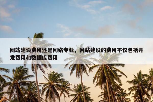 网站建设费用还是网络专业，网站建设的费用不仅包括开发费用和数据库费用