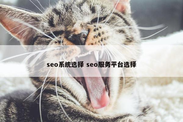 seo系统选择 seo服务平台选择