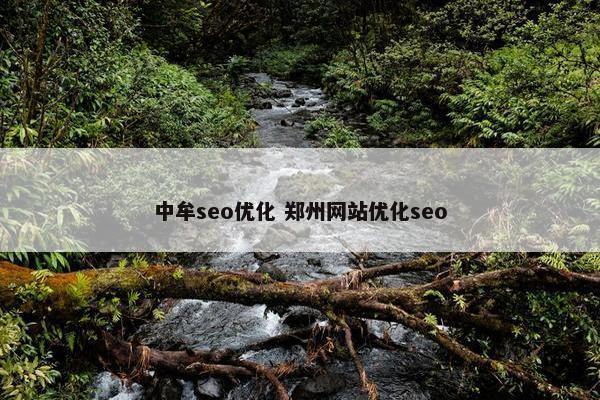 中牟seo优化 郑州网站优化seo