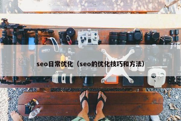 seo日常优化（seo的优化技巧和方法）