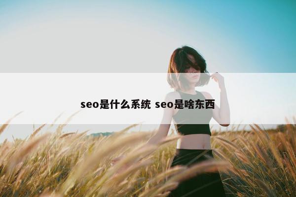 seo是什么系统 seo是啥东西