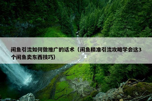 闲鱼引流如何做推广的话术（闲鱼精准引流攻略学会这3个闲鱼卖东西技巧）