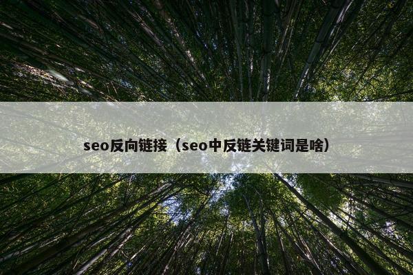 seo反向链接（seo中反链关键词是啥）