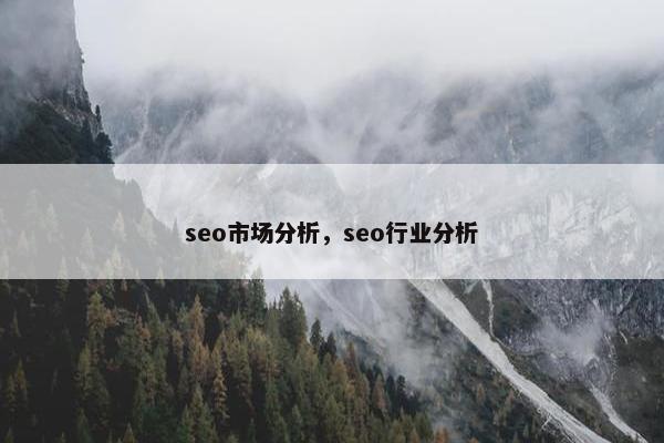 seo市场分析，seo行业分析