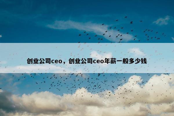 创业公司ceo，创业公司ceo年薪一般多少钱