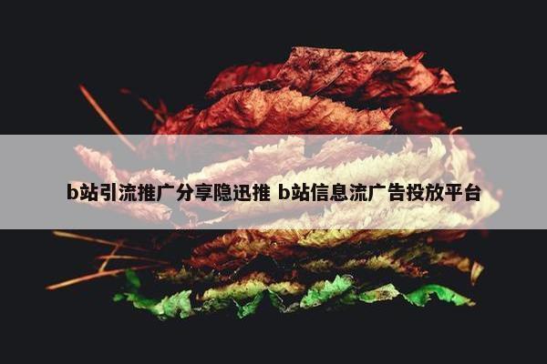 b站引流推广分享隐迅推 b站信息流广告投放平台